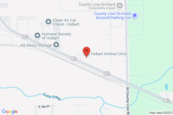 Animal Medical Hospital
