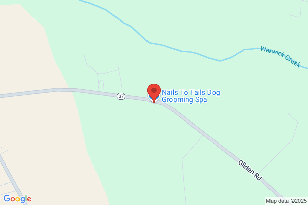 Nails To Tails Dog Grooming Spa