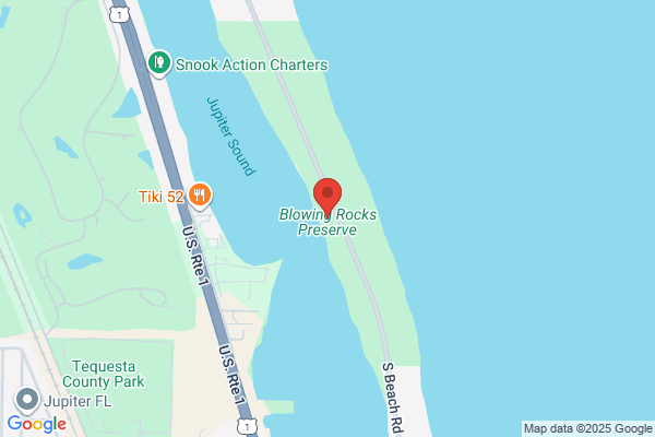 Blowing Rocks Preserve