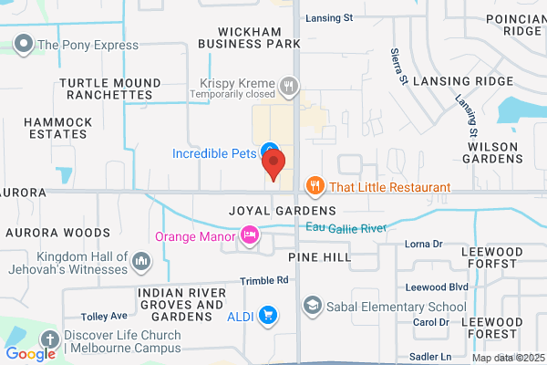 Explore + Discover Early Learning Center