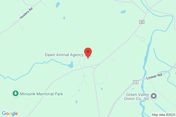 Dawn Animal Agency Inc