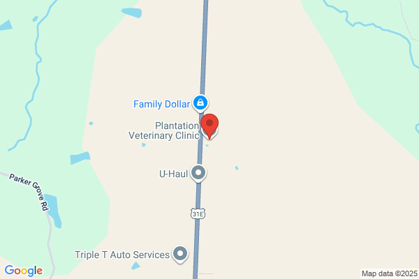 Plantation Veterinary Clinic