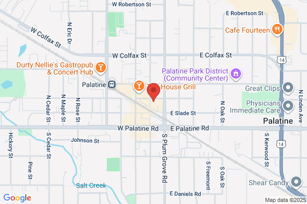 IBJI Physical Therapy - Palatine