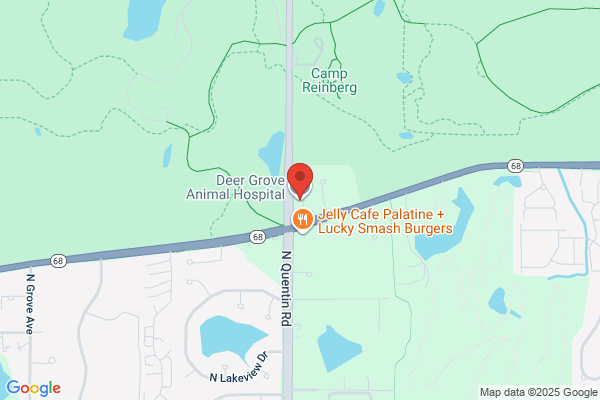 Deer Grove Animal Hospital