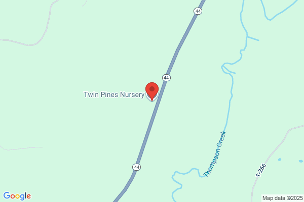 Twin Pines Nursery