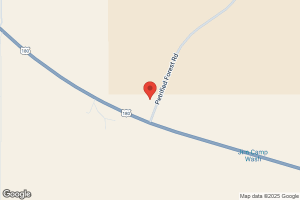 Petrified Forest Gift Shop