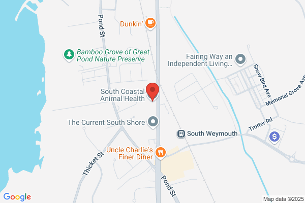 South Coastal Animal Health