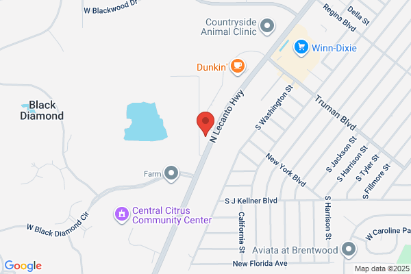 George's Wholesale Tire Pros