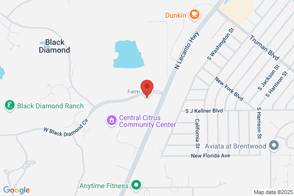 Black Diamond Realty Inc, Sales