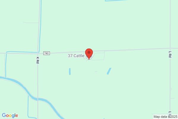 37 Cattle Company