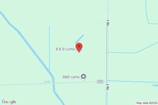 B & B Cattle Co