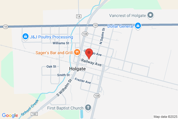 Holgate Community Library