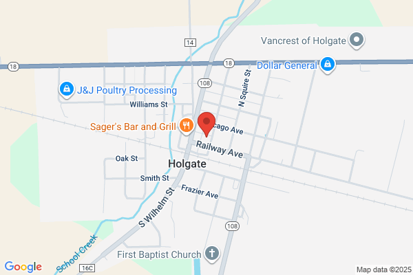 Holgate Party Mart