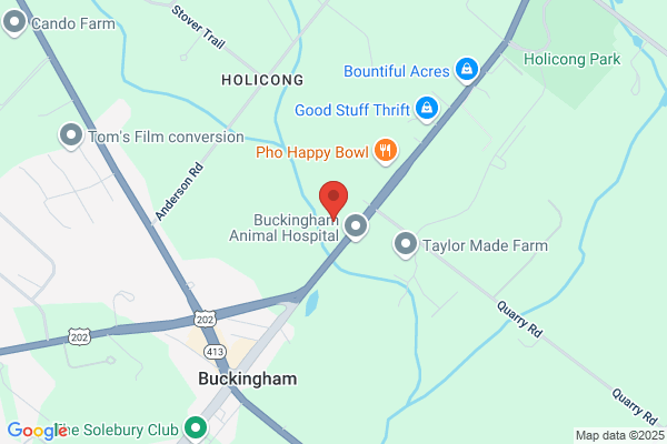 Buckingham Pediatrics