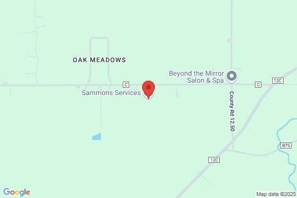 Sammons Services LTD