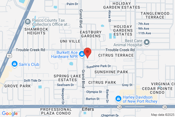 AutoZone Auto Parts