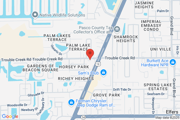 Florida Energy Systems Inc