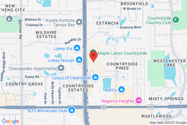 Pinellas County Electric