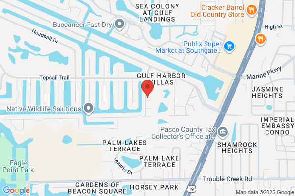 Gulf Harbors Therapeutic Massage