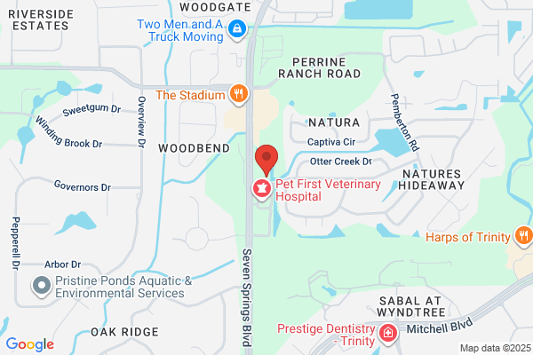 Florida Luxury Realty