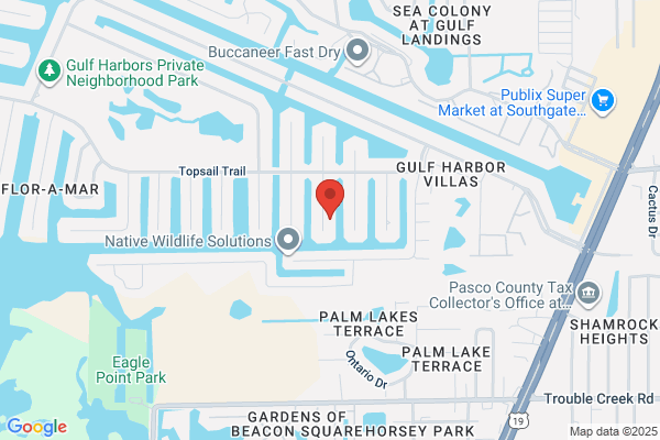 Florida Real Estate Group