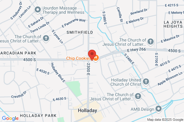 Top Stop Chevron - Holladay C45