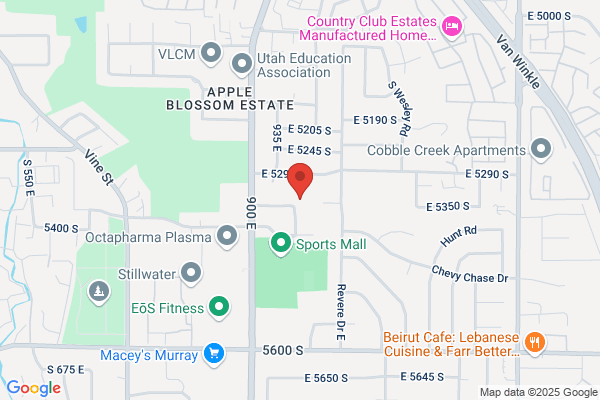 Rocky Mountain Data Control Inc