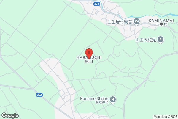 Haraguchi's