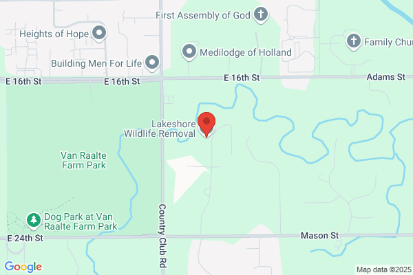 Lakeshore Wildlife Removal LLC