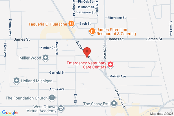 Amh Insurance Agency