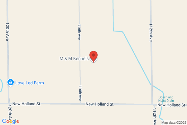 M & M Kennels