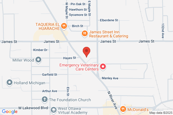 Center for Women in Transition