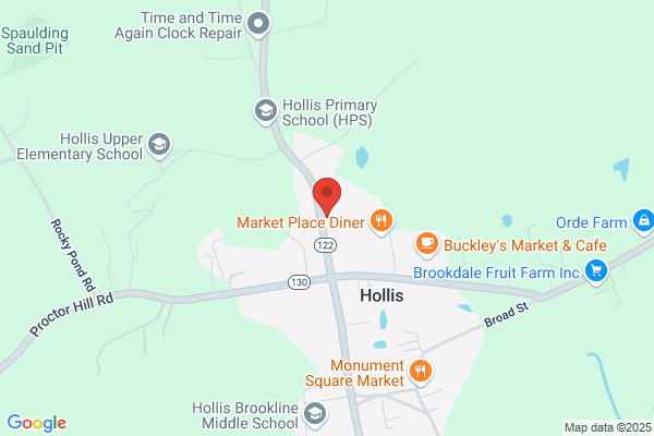 Hollis Veterinary Hospital, LLC