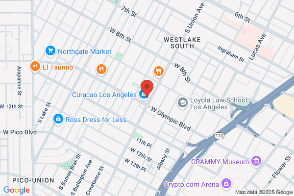 Law Offices of Nelson A Castillo