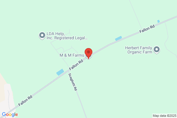 M & M Farms