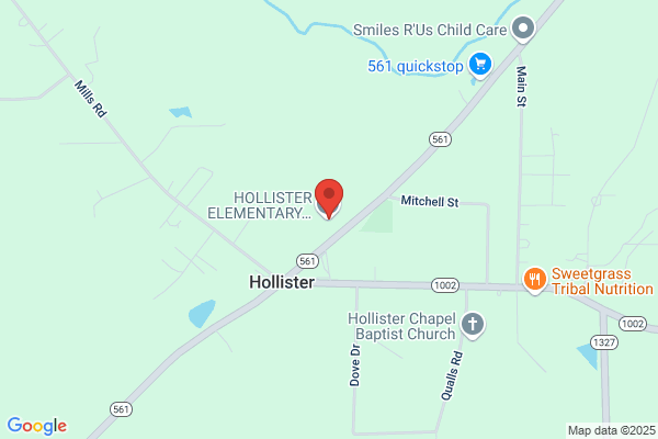 Hollister Elementary School