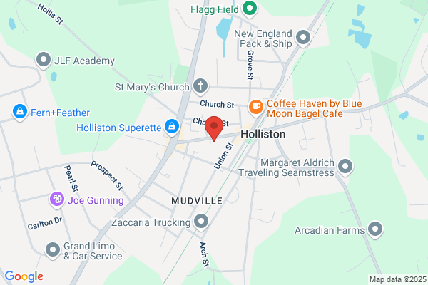 Holliston Auto Village