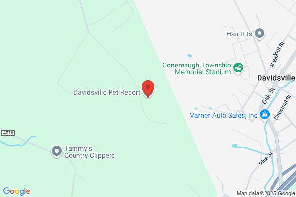 Davidsville Pet Resort