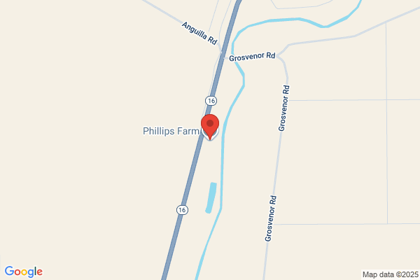 Phillips Planting Co