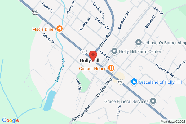 Fresenius Kidney Care Old State Road - Holly Hill