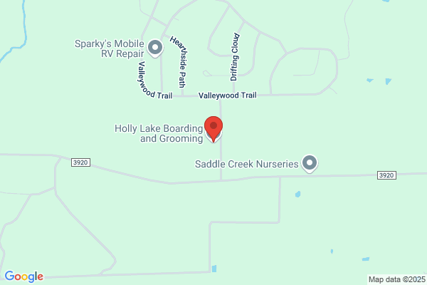 Holly Lake Animal Clinic