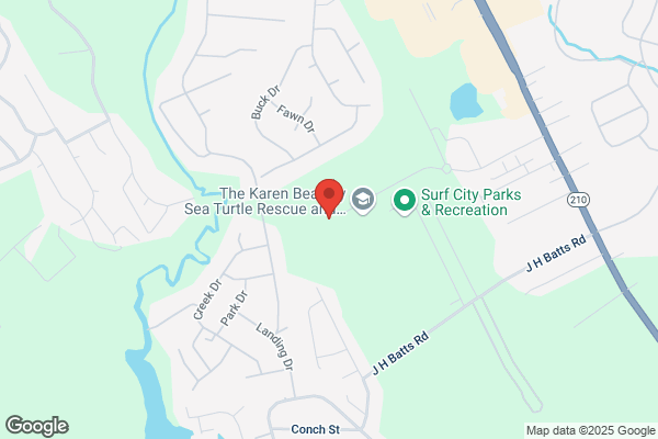 Surf City Pet Hospital