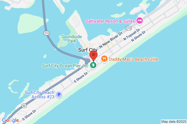 Surf City Shopping Center Inc the, Grocery Store