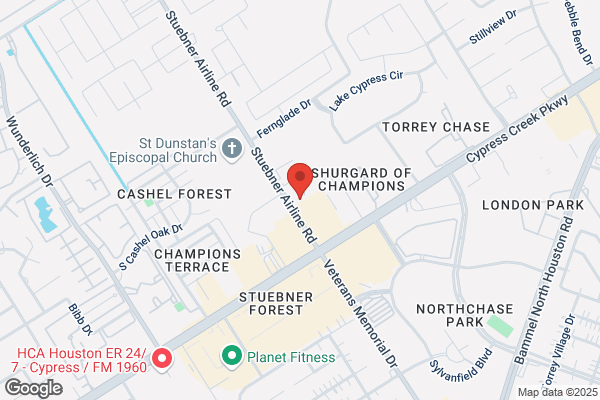 Champion Automotive Service Inc