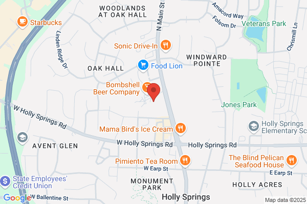919 Spine Chiropractic - Holly Springs