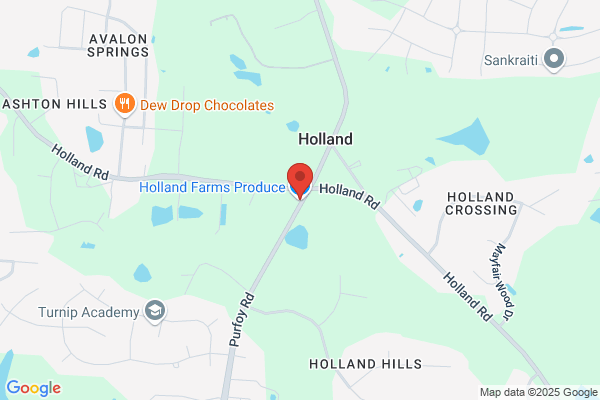Holland Jack O Insurance