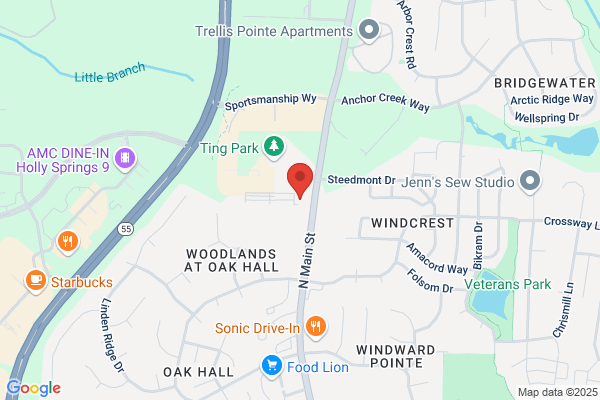 Security Self Storage - Holly Springs