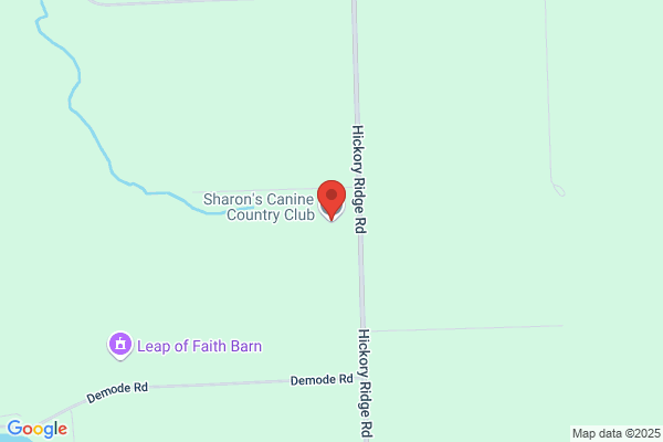 Sharon's Canine Country Club
