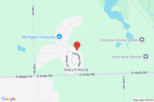 Holly Hills