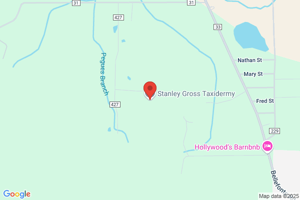 Stanley Gross Taxidermy